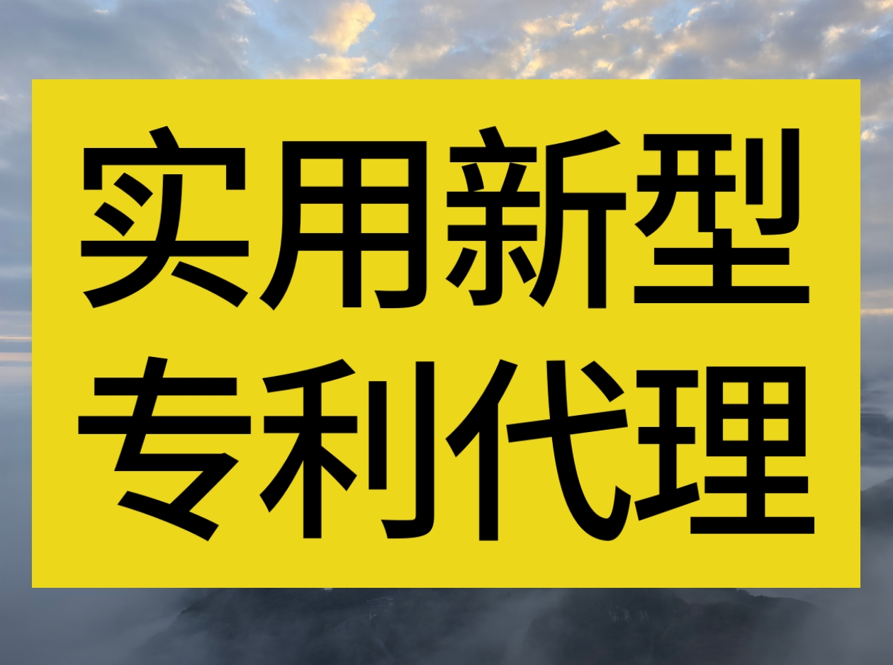 实用新型专利申请(咨询服务)